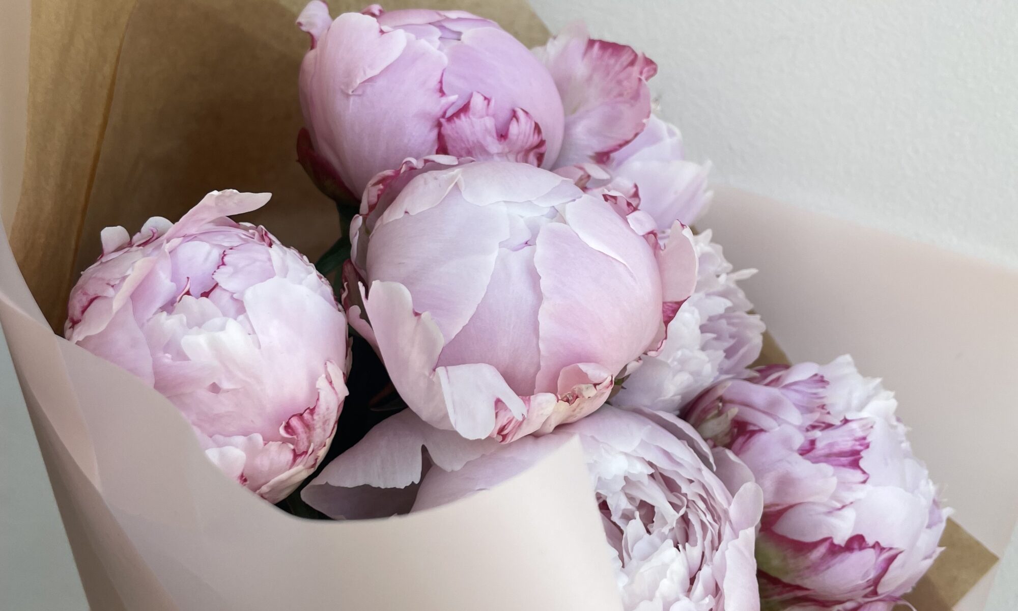kwiaty z dostawą do domu wrocław - Only Peonies