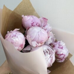 kwiaty z dostawą do domu wrocław - Only Peonies